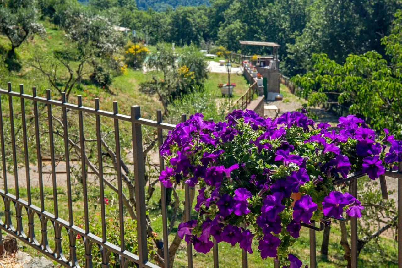 Podere Figlinelle Starda Bagian luar foto